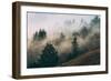 Summer Fog Impressions, Mount Tamalpais, Northern California-Vincent James-Framed Premium Photographic Print