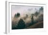 Summer Fog Impressions, Mount Tamalpais, Northern California-Vincent James-Framed Premium Photographic Print