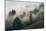 Summer Fog Impressions, Mount Tamalpais, Northern California-Vincent James-Mounted Premium Photographic Print