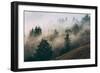 Summer Fog Impressions, Mount Tamalpais, Northern California-Vincent James-Framed Photographic Print