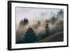 Summer Fog Impressions, Mount Tamalpais, Northern California-Vincent James-Framed Photographic Print