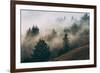 Summer Fog Impressions, Mount Tamalpais, Northern California-Vincent James-Framed Photographic Print