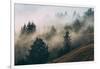 Summer Fog Impressions, Mount Tamalpais, Northern California-Vincent James-Framed Photographic Print