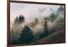 Summer Fog Impressions, Mount Tamalpais, Northern California-Vincent James-Framed Photographic Print