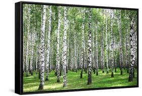 Summer Forest in Sunny Weather-LeniKovaleva-Framed Stretched Canvas