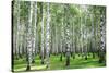 Summer Forest in Sunny Weather-LeniKovaleva-Stretched Canvas