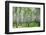 Summer Forest in Sunny Weather-LeniKovaleva-Framed Photographic Print