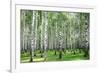 Summer Forest in Sunny Weather-LeniKovaleva-Framed Photographic Print