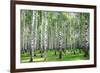 Summer Forest in Sunny Weather-LeniKovaleva-Framed Photographic Print