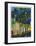 Summer Forest-Barbara Rainforth-Framed Limited Edition