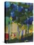 Summer Forest-Barbara Rainforth-Stretched Canvas