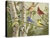 Summer Friends-William Vanderdasson-Stretched Canvas