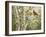 Summer Friends-William Vanderdasson-Framed Giclee Print