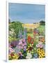 Summer from the Four Seasons (One of a Set of Four)-Hilary Jones-Framed Giclee Print