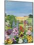 Summer from the Four Seasons (One of a Set of Four)-Hilary Jones-Mounted Giclee Print