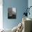 Summer Frost, New York, New York-null-Photographic Print displayed on a wall
