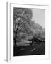 Summer Frost, New York, New York-null-Framed Photographic Print