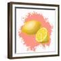 Summer Fruit 1-Kimberly Allen-Framed Art Print