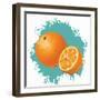 Summer Fruit 3-Kimberly Allen-Framed Art Print