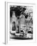 Summer Fruit Drinks-null-Framed Photographic Print