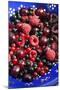 Summer Fruits-Jon Stokes-Mounted Photographic Print