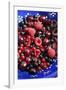 Summer Fruits-Jon Stokes-Framed Photographic Print