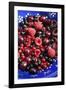 Summer Fruits-Jon Stokes-Framed Photographic Print