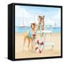 Summer Fun at the Beach IV-Beth Grove-Framed Stretched Canvas