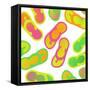 Summer Fun II-Mindy Sommers-Framed Stretched Canvas