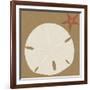 Summer Fun: Sand Dollar-BG^Studio-Framed Art Print