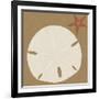 Summer Fun: Sand Dollar-BG^Studio-Framed Art Print