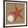 Summer Fun: Starfish-BG^Studio-Framed Art Print