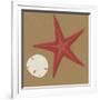 Summer Fun: Starfish-BG^Studio-Framed Art Print