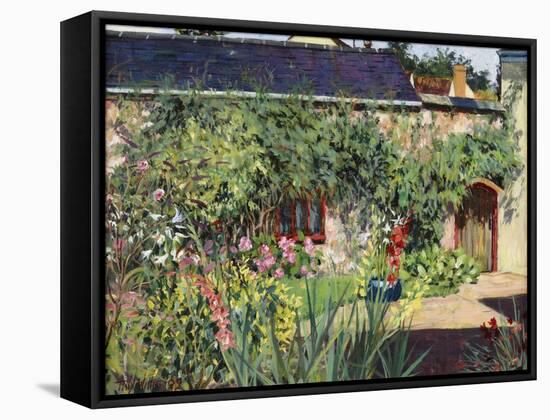 Summer Garden, 2009-Tilly Willis-Framed Stretched Canvas