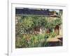 Summer Garden, 2009-Tilly Willis-Framed Giclee Print