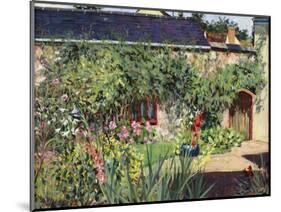 Summer Garden, 2009-Tilly Willis-Mounted Giclee Print