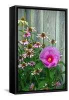 Summer garden flowers-Anna Miller-Framed Stretched Canvas