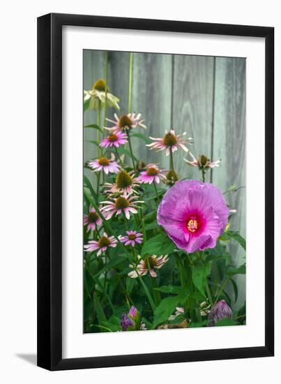 Summer garden flowers-Anna Miller-Framed Photographic Print