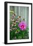 Summer garden flowers-Anna Miller-Framed Photographic Print