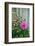 Summer garden flowers-Anna Miller-Framed Photographic Print