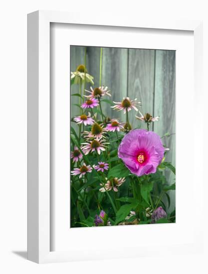 Summer garden flowers-Anna Miller-Framed Photographic Print