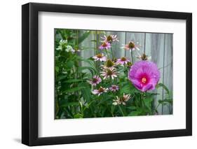 Summer garden flowers-Anna Miller-Framed Photographic Print