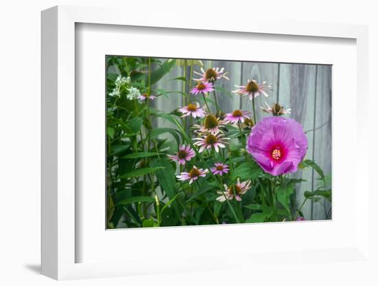 Summer garden flowers-Anna Miller-Framed Photographic Print