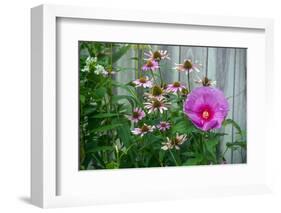 Summer garden flowers-Anna Miller-Framed Photographic Print