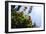 Summer Garden II-Alan Hausenflock-Framed Photographic Print