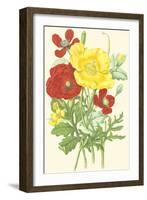 Summer Garden II-Anne Pratt-Framed Art Print