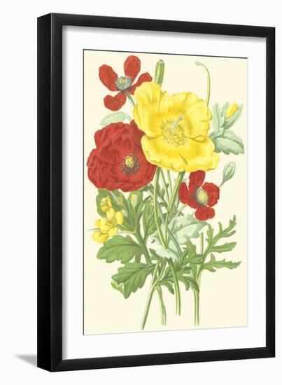 Summer Garden II-Anne Pratt-Framed Art Print