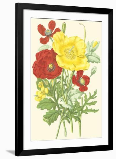 Summer Garden II-Anne Pratt-Framed Art Print