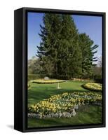 Summer Garden New Jersey State Botanical Garden, New Jersey, USA-null-Framed Stretched Canvas