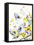 Summer Garden V-Karin Johannesson-Framed Stretched Canvas